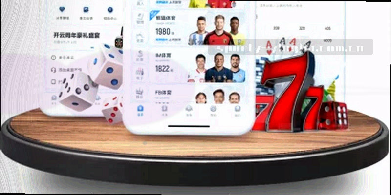 盾牌与数据环的抽象数据保护图形